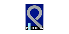paulicon-logo